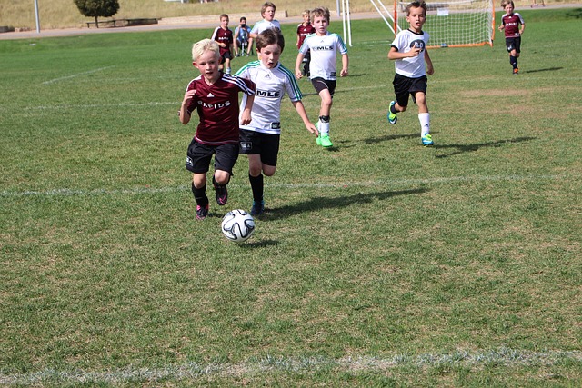 漢堡提供了 漢堡提供了