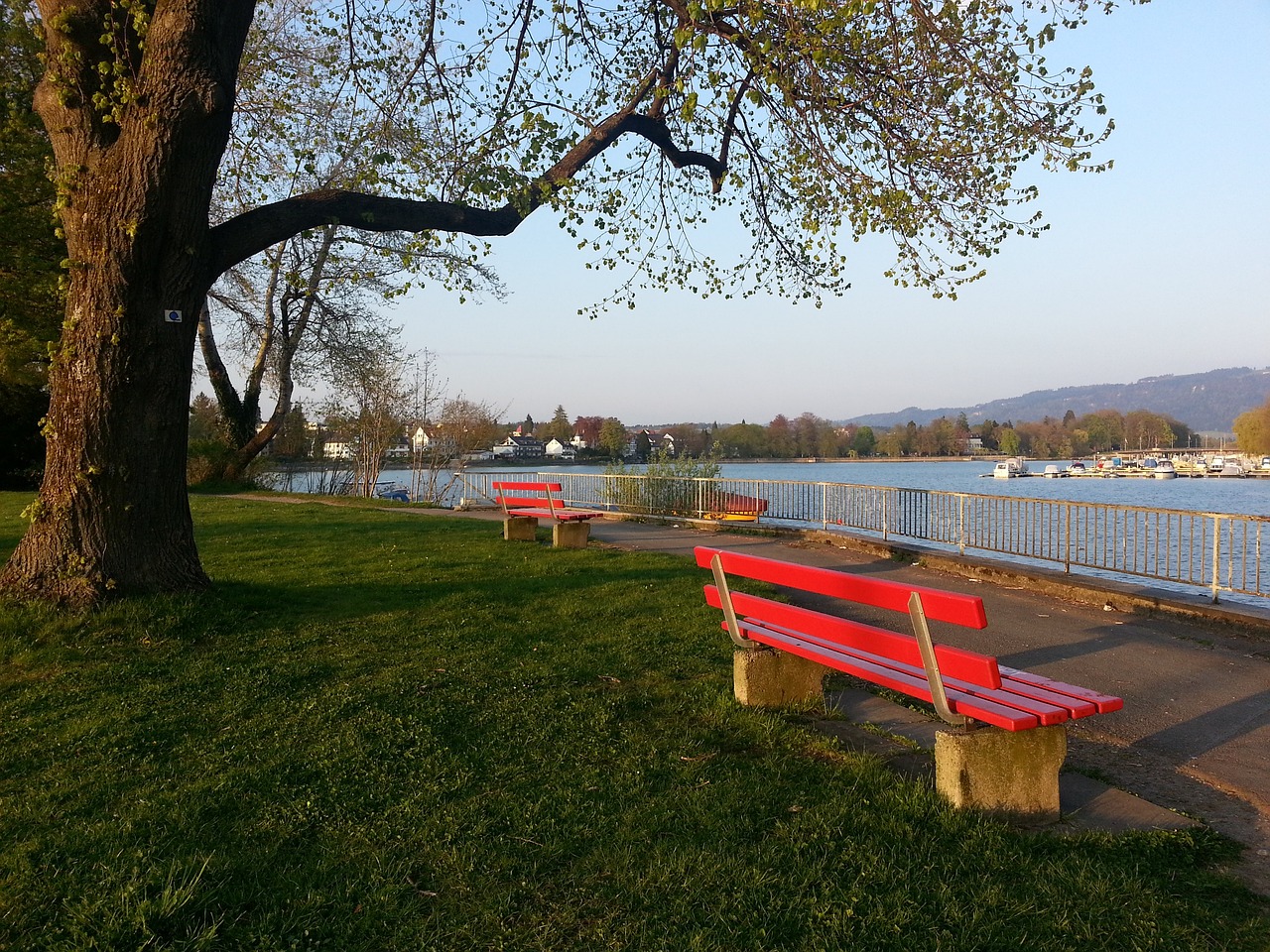 在顶级联赛 在顶级联赛