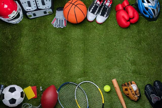 多纳鲁马 多纳鲁马